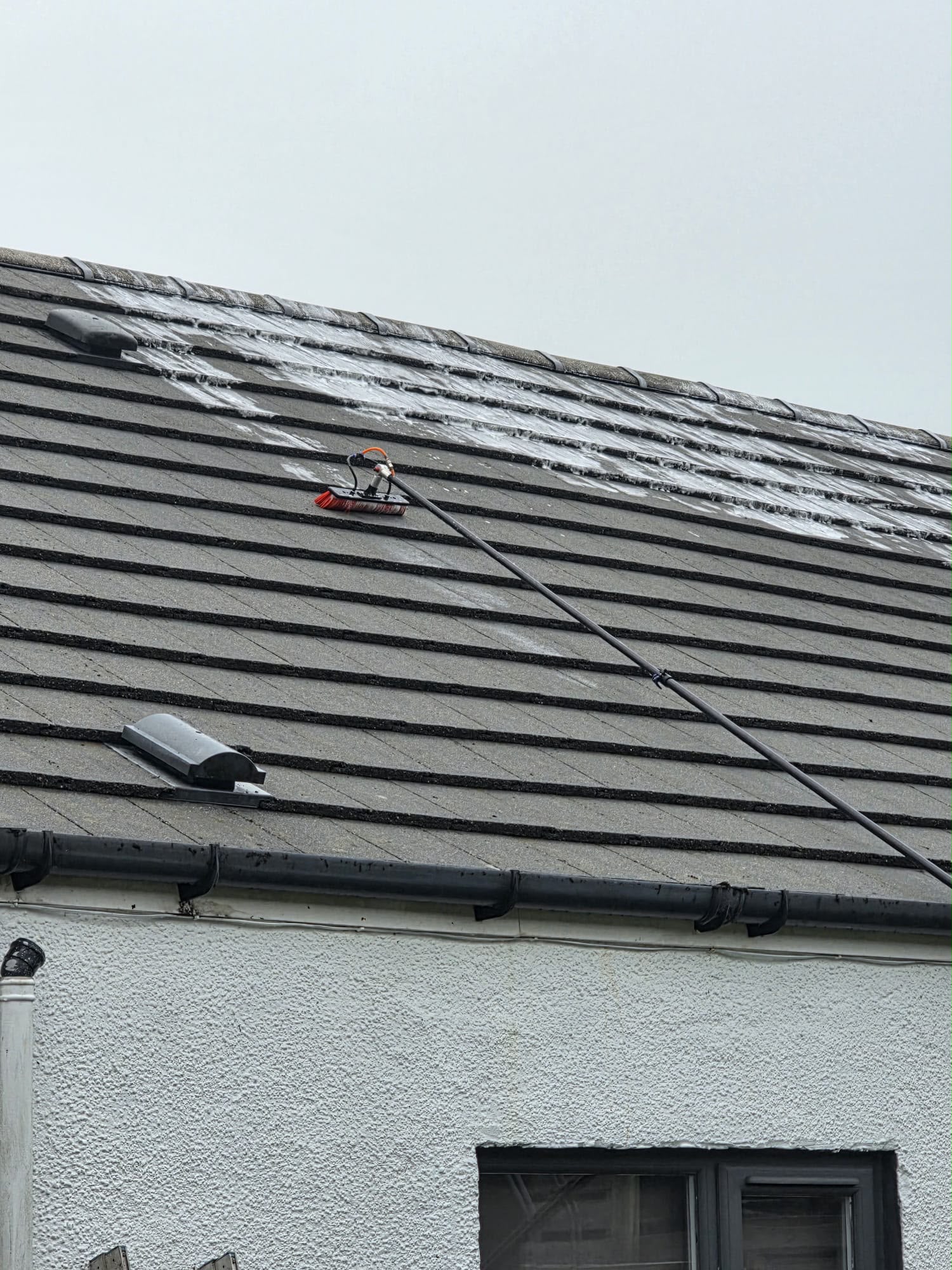 ROOF CLEANING